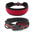 Hot Fast Deliver Reflective Neoprene Padded Dog Collar